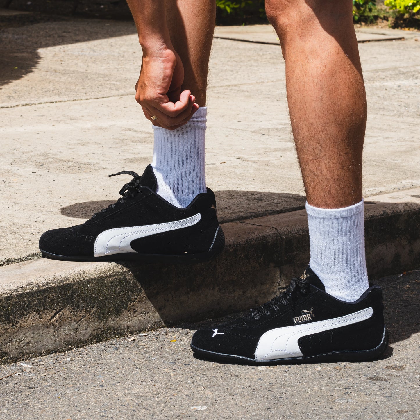 𝙋𝙪𝙢𝙖 𝙎𝙥𝙚𝙚𝙙𝘾𝙖𝙩 𝙊𝙂 𝟭.𝟭